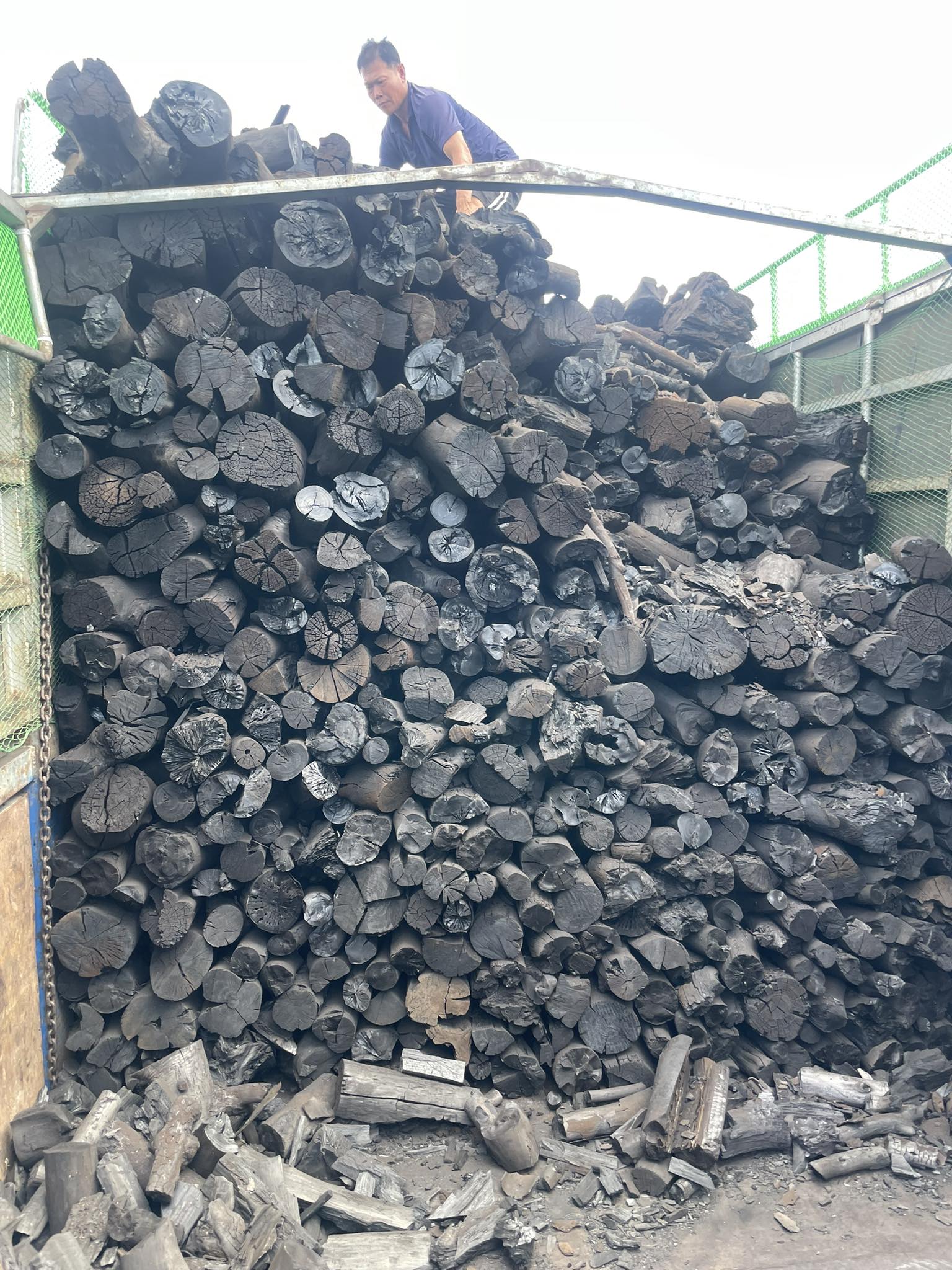 Coffee wood charcoal production